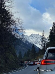 风中有你没有我